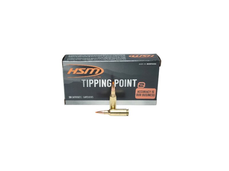 HSM Tipping Point 6mm ARC 95 Grain Hornady SST